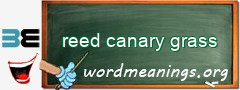 WordMeaning blackboard for reed canary grass